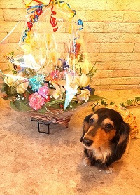 明けましておめでとうございます！